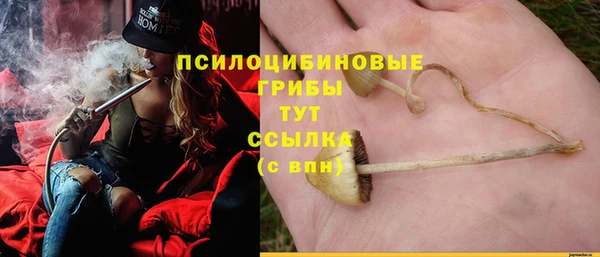 бутират Снежинск