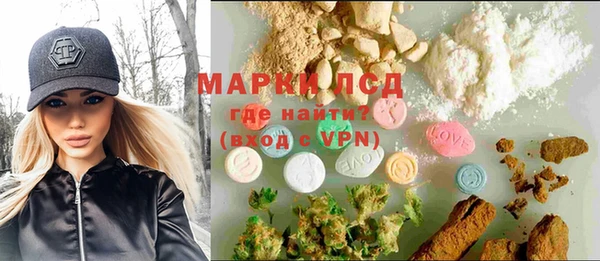 spice Снежногорск