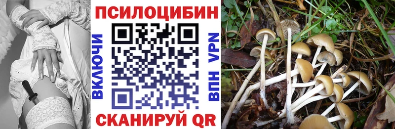 Купить закладки  Ельня  Галлюциногенные грибы мухоморы 